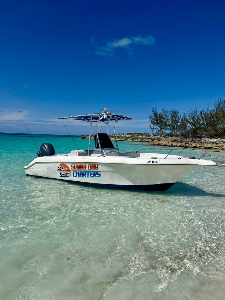 White fishing boat with Simm Bay Charters text parked in shallow turquoise water near a sandy beach under clear blue sky